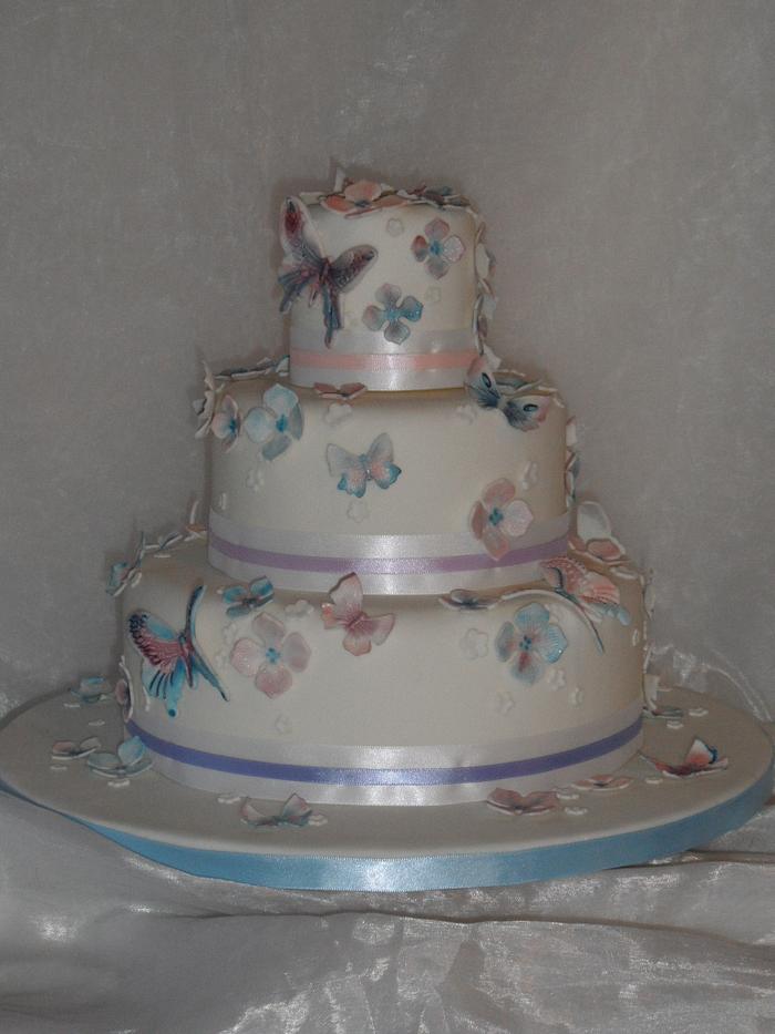 Pastel butterfly cake