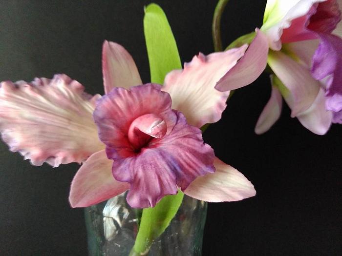 Orquídea  en pasta de goma