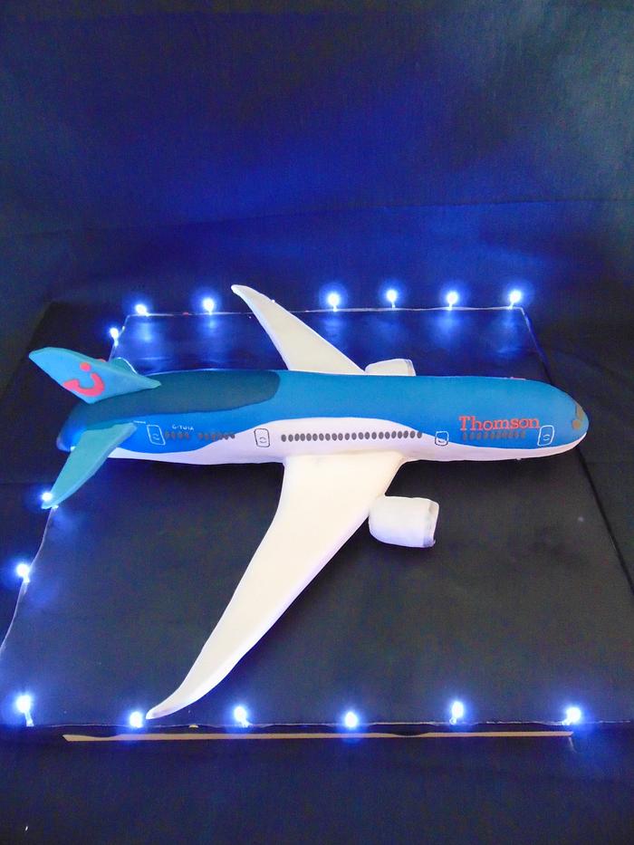 Boeing 787 Dreamliner cake