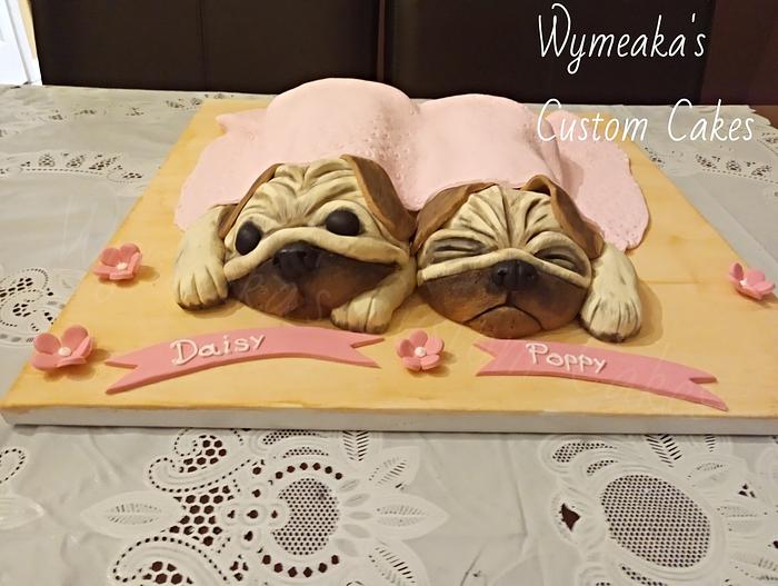 Twin Pugs Cake