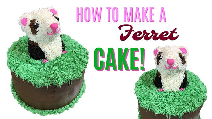 FRIENDLY FERRET CAKE!