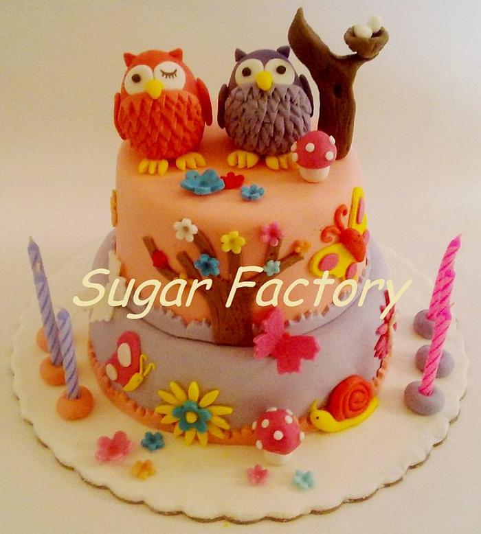 Owls cake and cookies