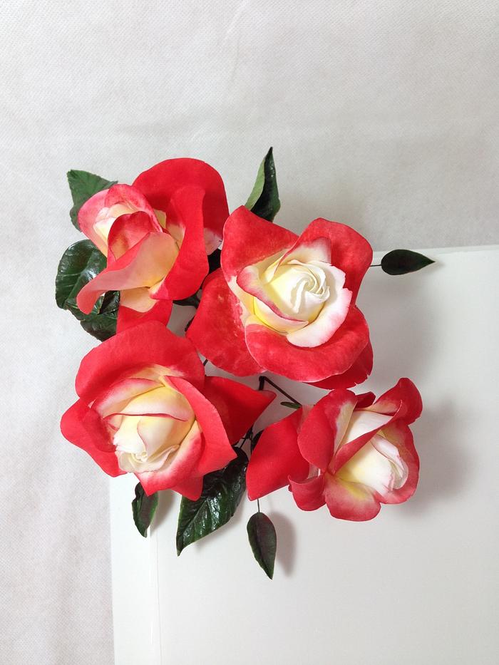 Double delight sugar roses