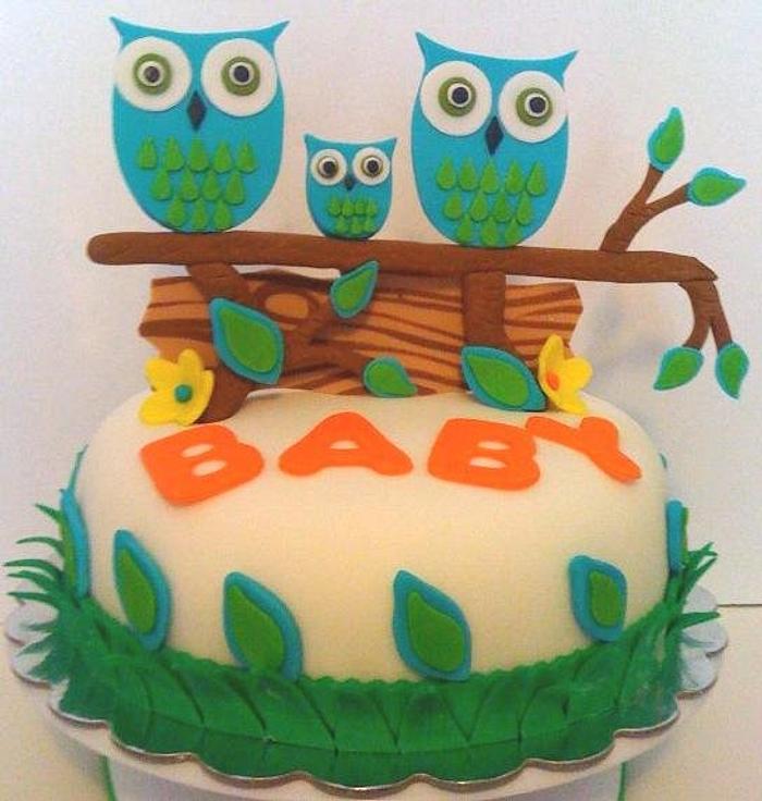 Baby Shower Owl cake
