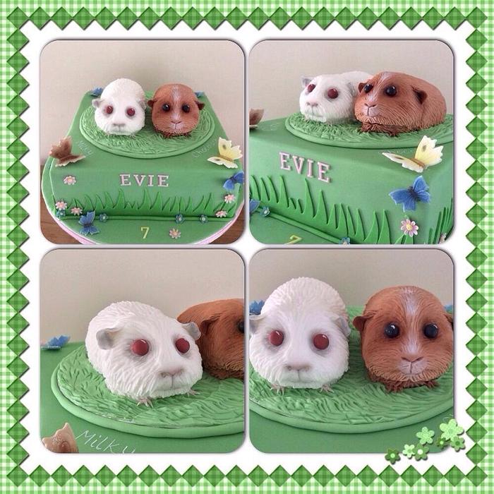 Guinea pig cake