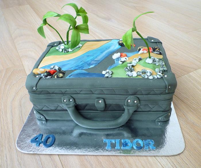 Travel cake  