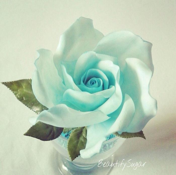 Blue rose 