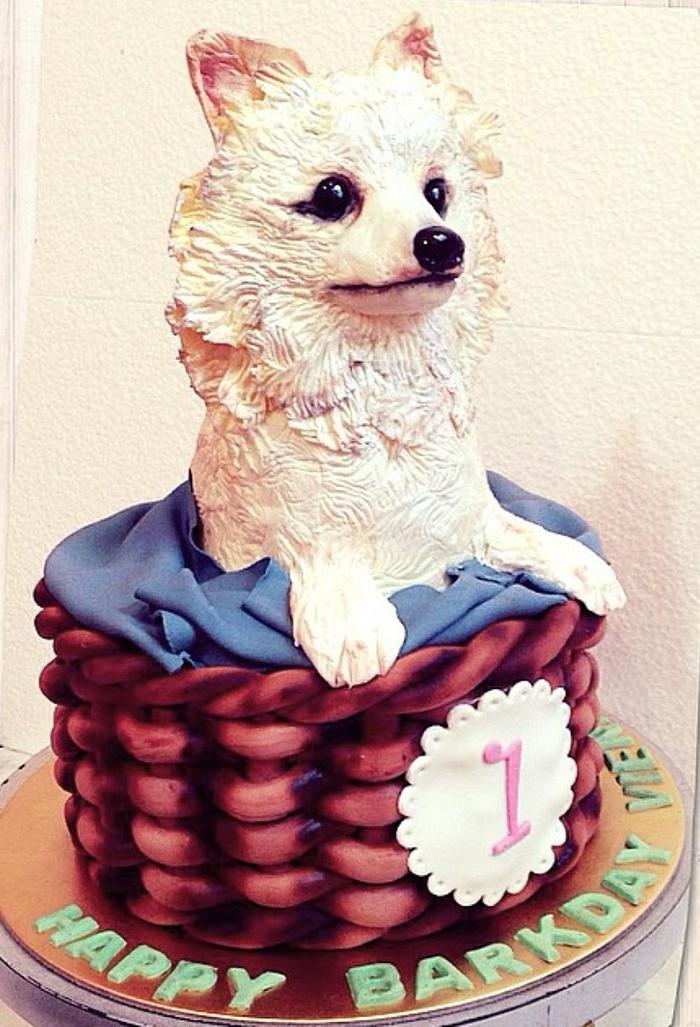 Pomeranian cake