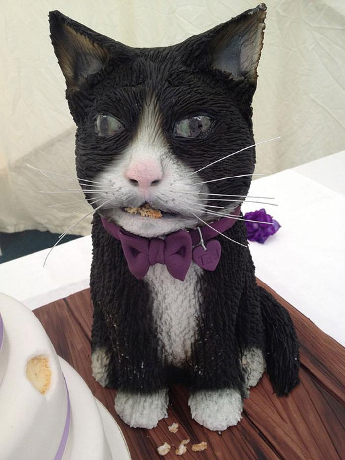 Cat that ate the cake