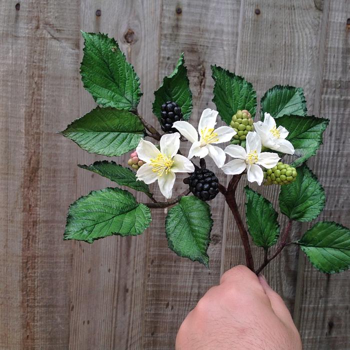 AaronSugarflowers - balckberry
