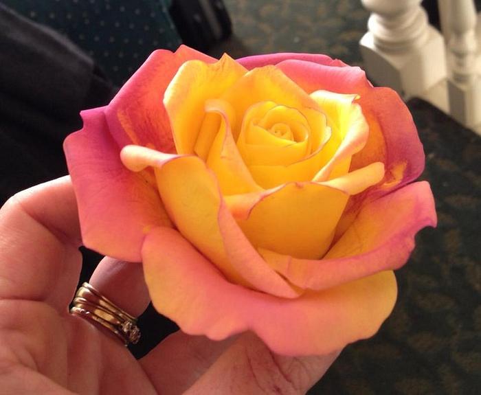 Just Playing!!! Yellow and Pink Gum Paste Rose