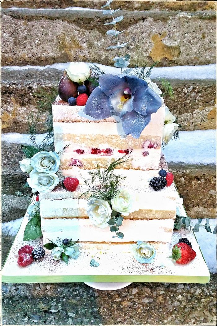 Wintery Bridal shower cake 
