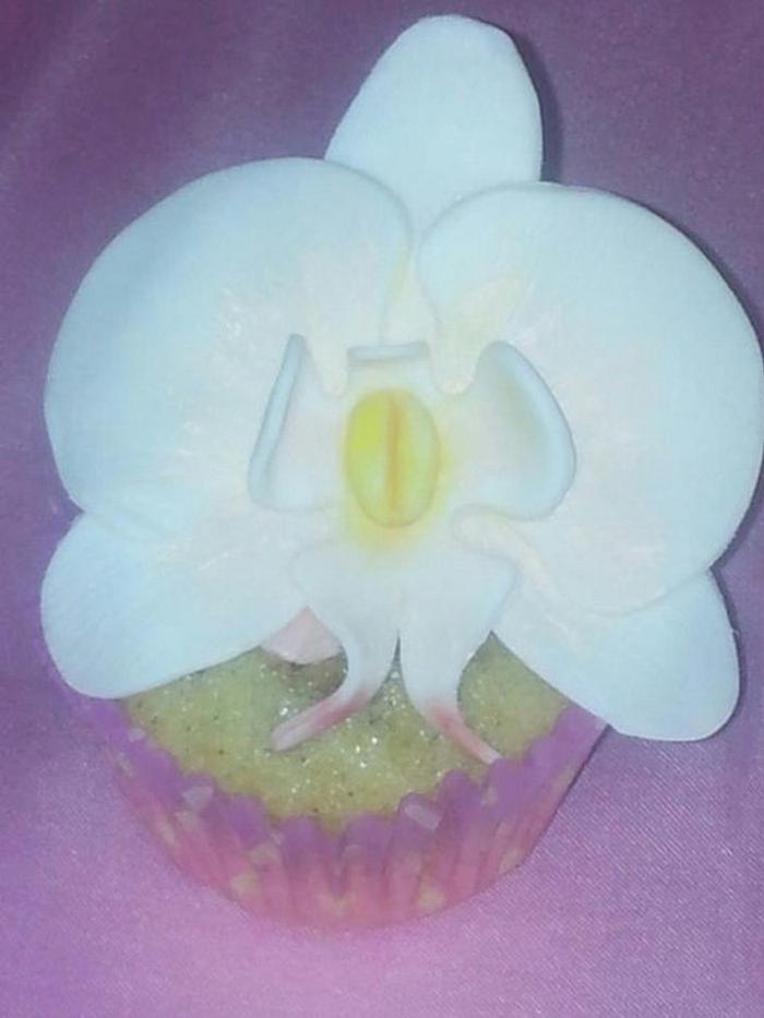 cupcake orchidée 