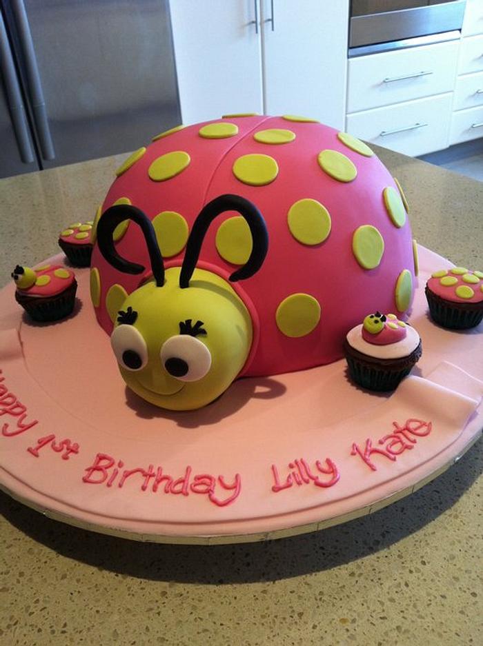 Lady bug cake