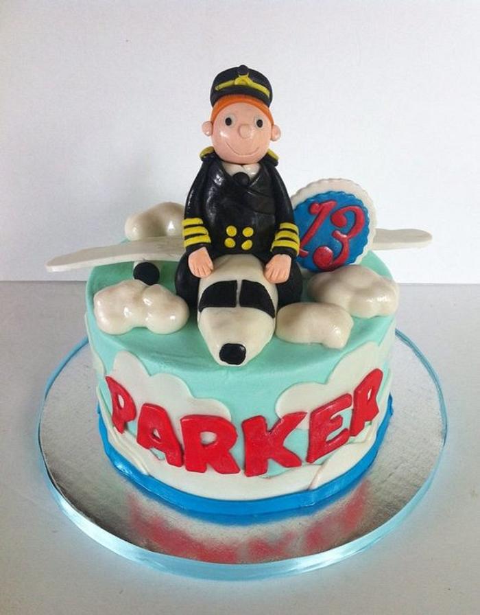 Pilot Birthday Cake