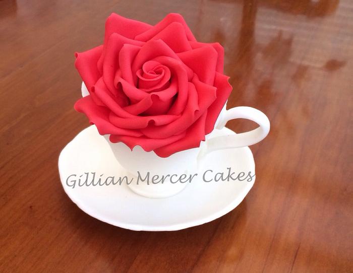Red rose in a teacup