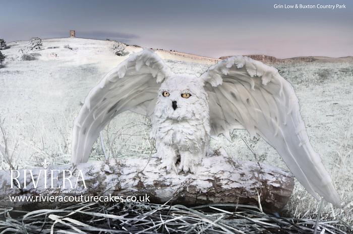 Cielo - Snowy Owl Cake/ Cake Sculpture