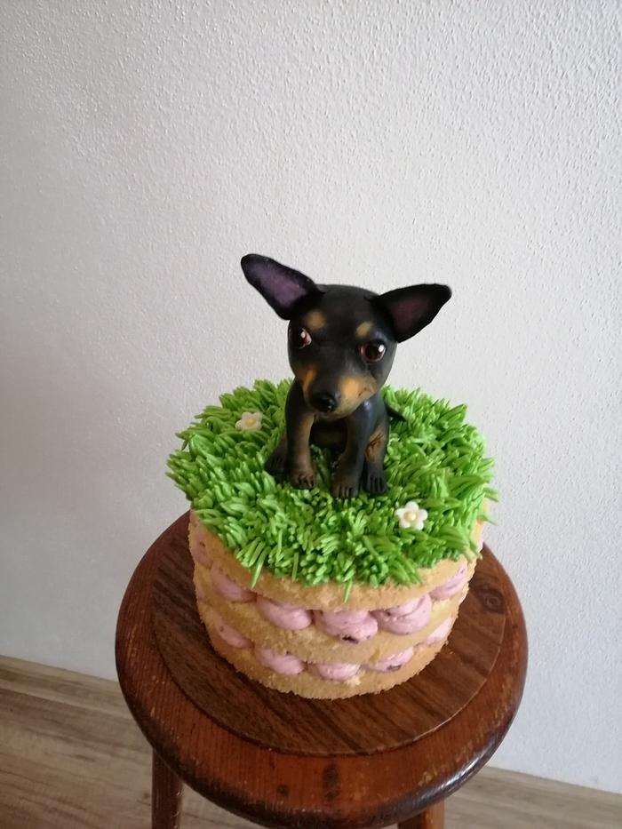 Naked cake with dog