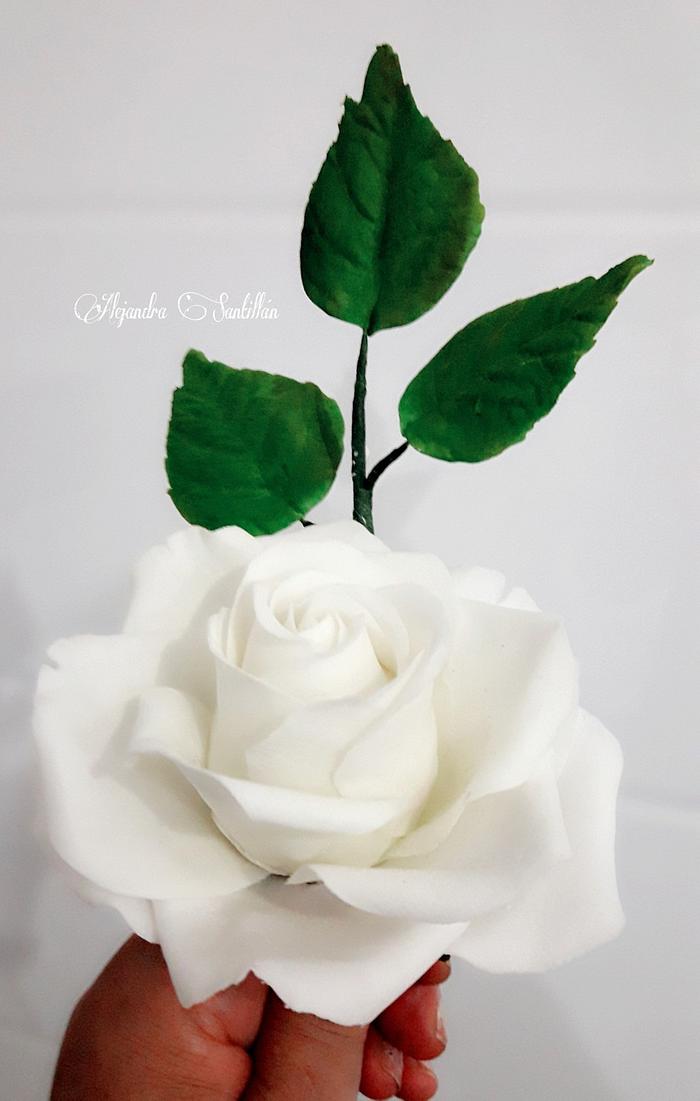 Rosa Blanca  de azúcar 😍