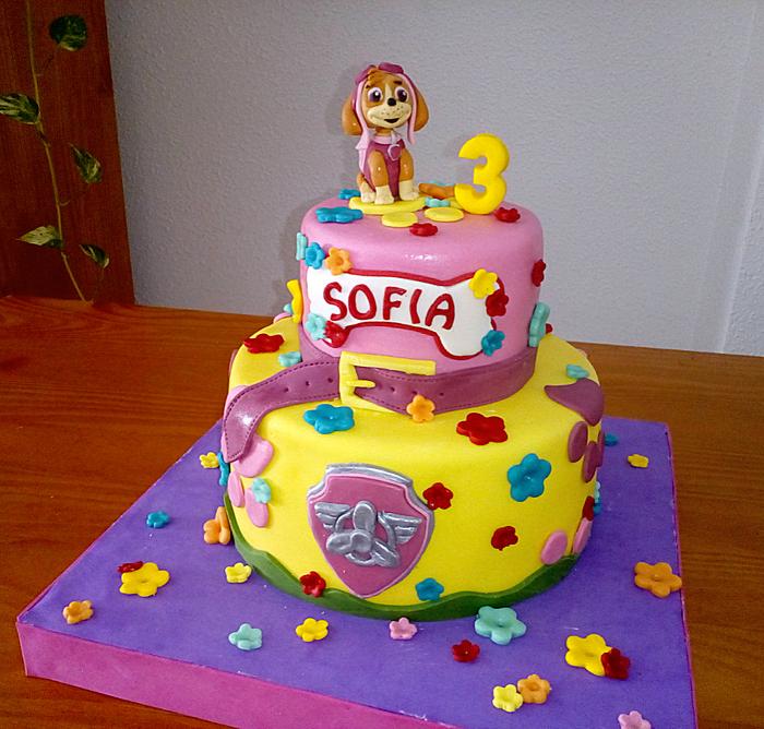 PAW PATROL' S CAKE for SOFIA - Decorated Cake by Camelia - CakesDecor