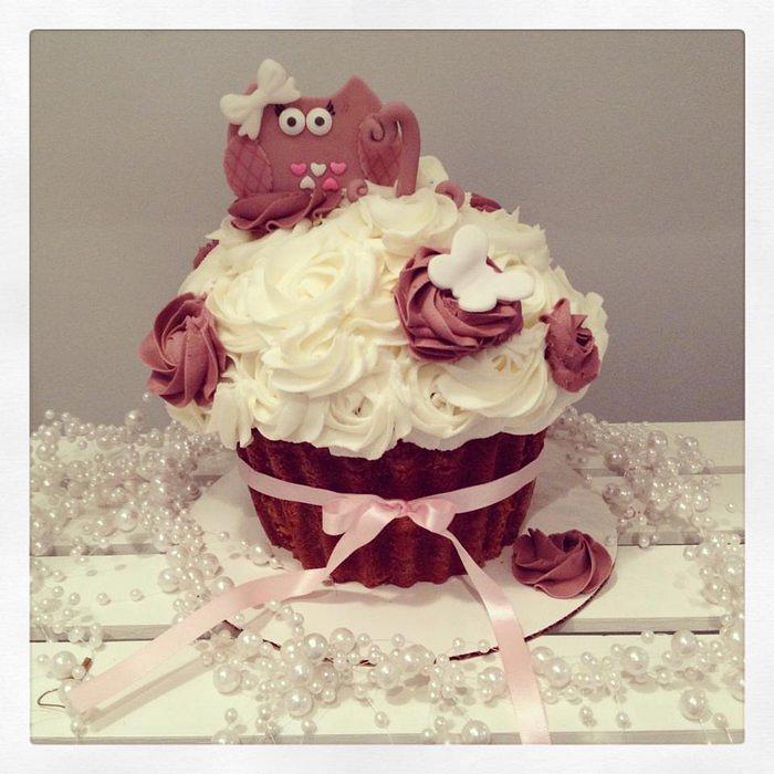 Owl smash cake