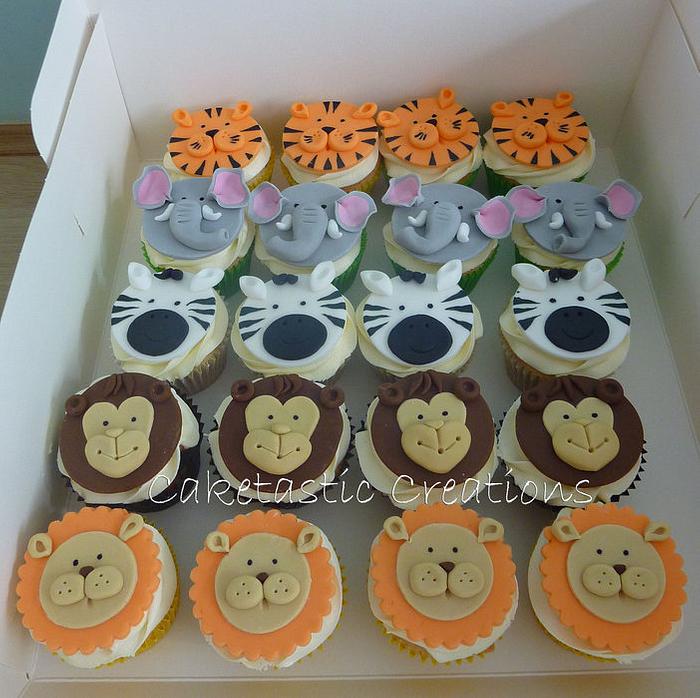 Jungle themed Cupcakes