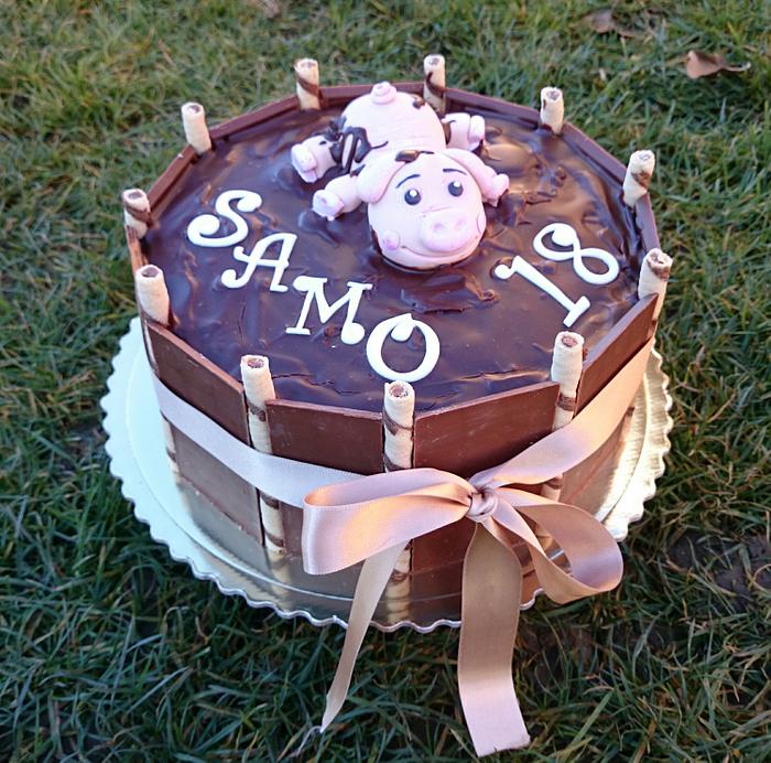 Chocolate birthday cake with pig