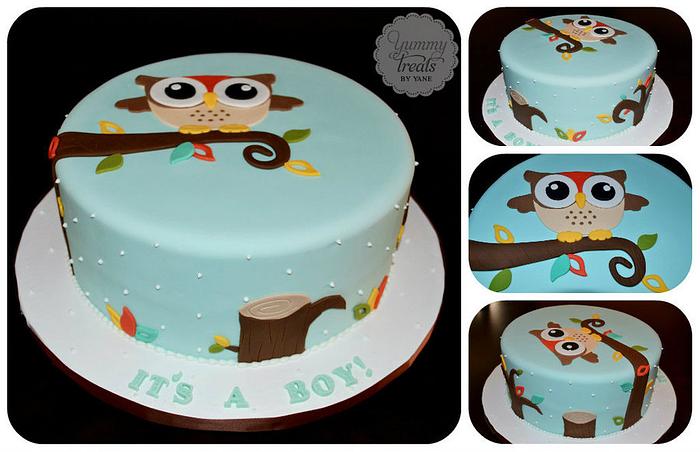 Owl cake!