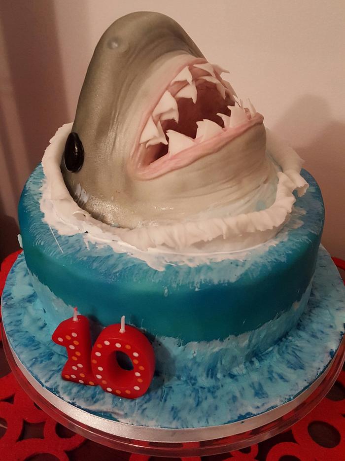 10th Birthday Shark Cake