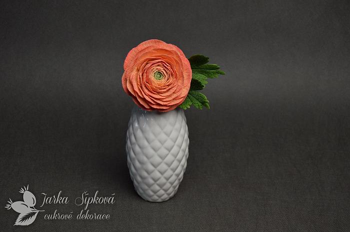 Chocolate Ranunculus