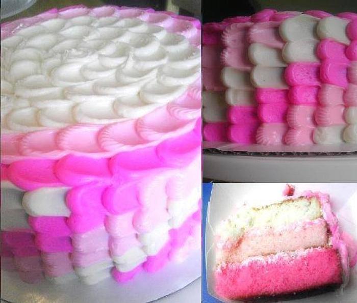 Ombre Cake & Icing