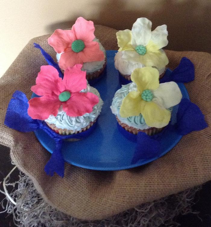 Marie's Cupcakes