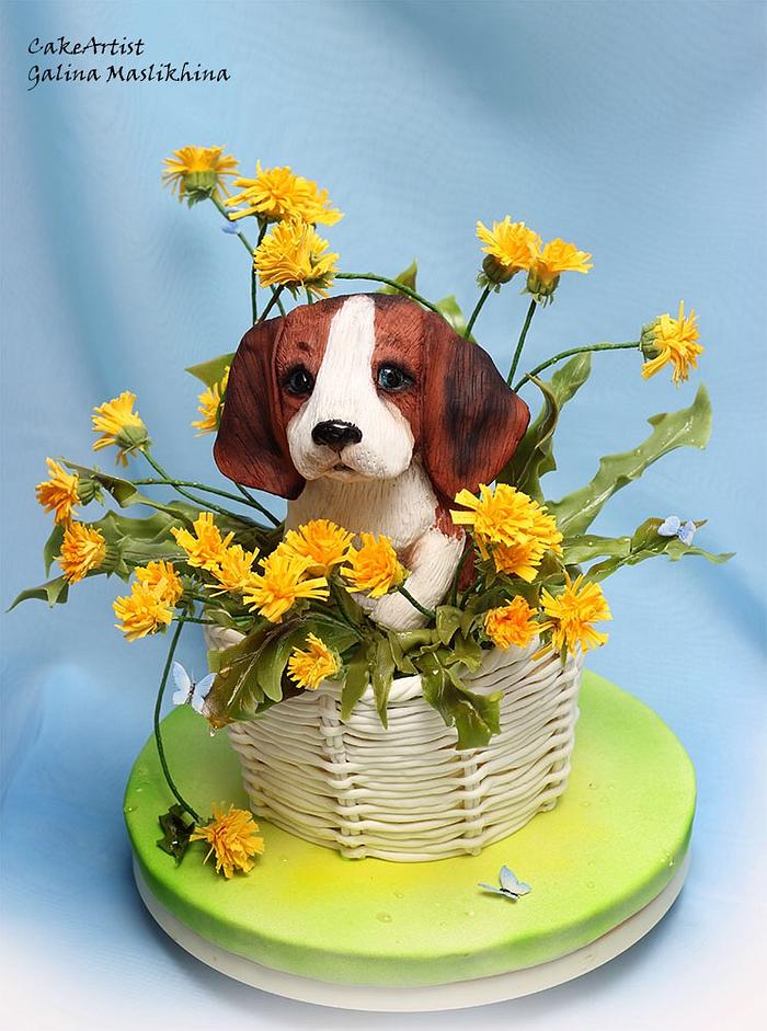 3D cake puppy Beagle in the basket of dandelions