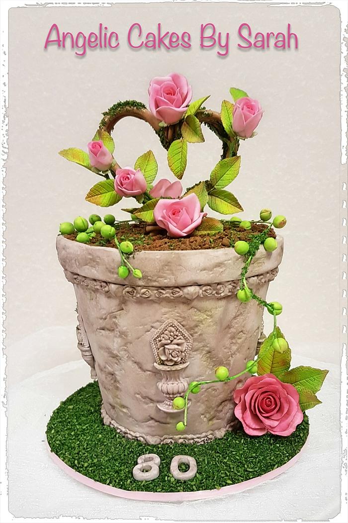 80th Birthday Potplant cake