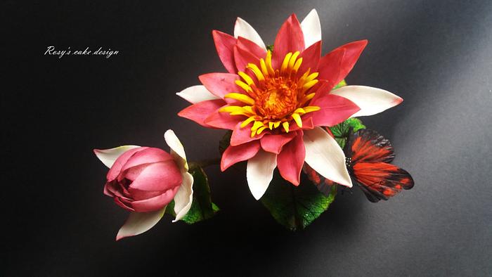 Water Lily and Red Butterfly