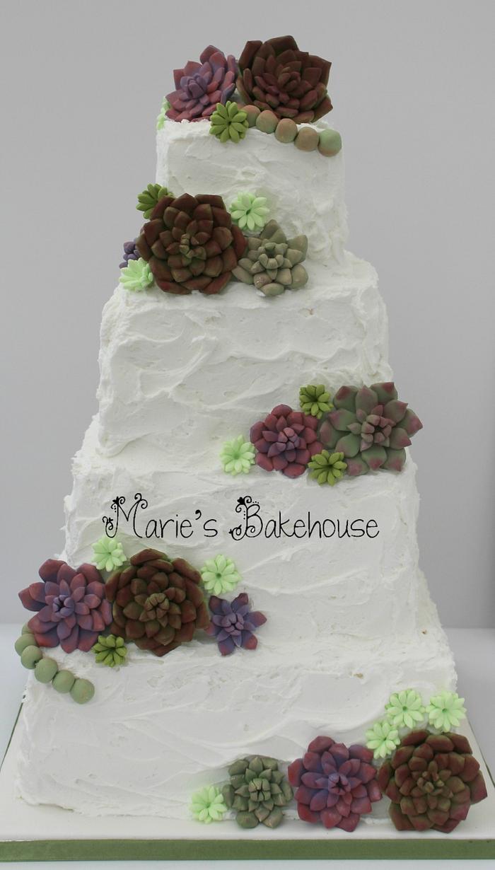 Buttercream wedding cake with succulents