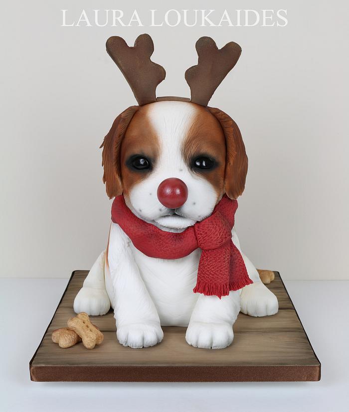Rudy the Red-Nosed Puppy