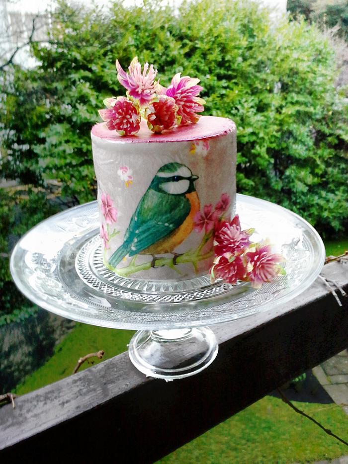 Bird Motive hand painted cake & sequins