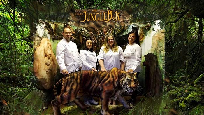 The Disney Jungle Book project