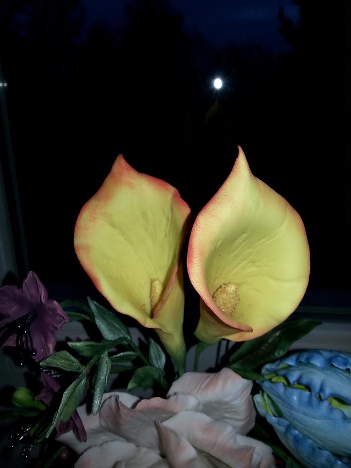 Calla Lily