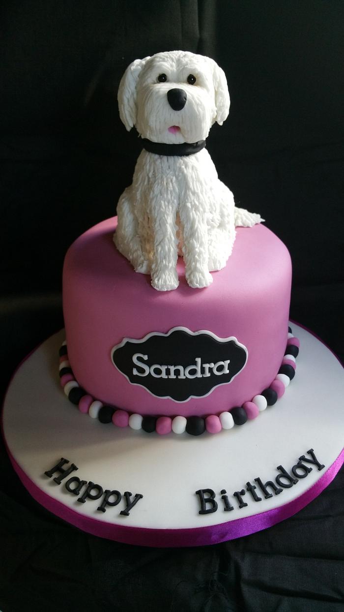 Bichon frise cake 