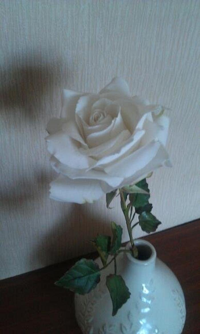 White Icing Rose with Foliage