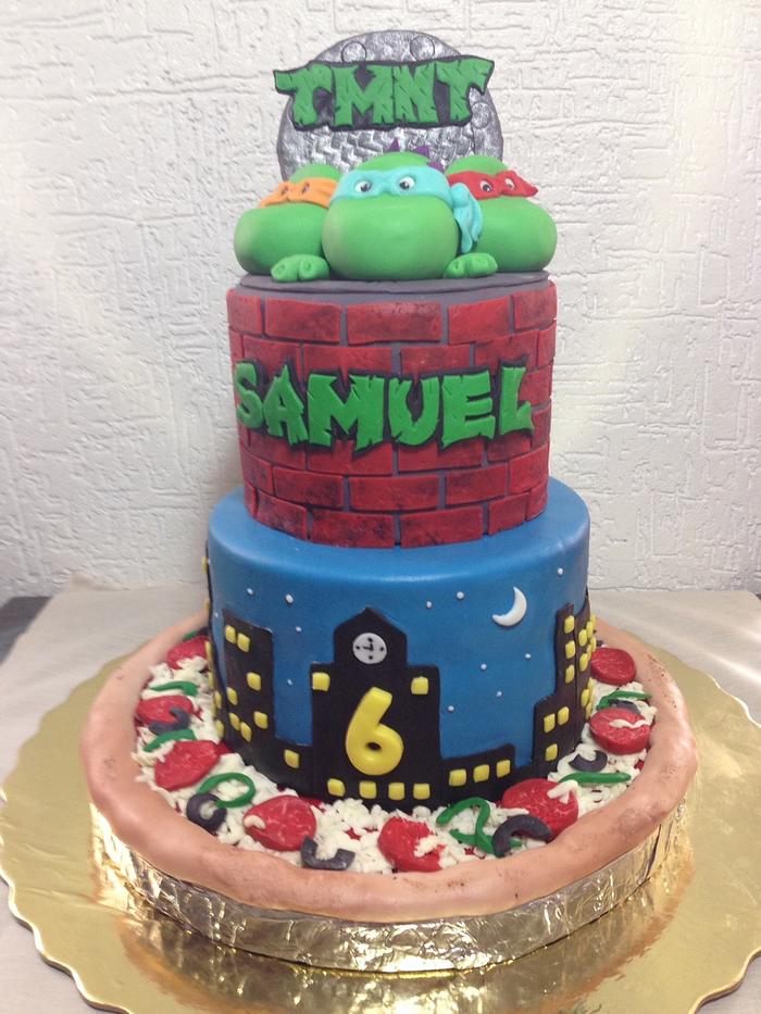 TNT -Turtle Ninja birthday cake