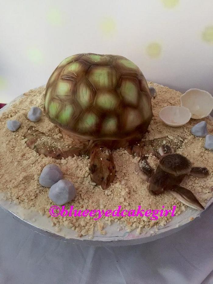 Mommy turtle with baby cake