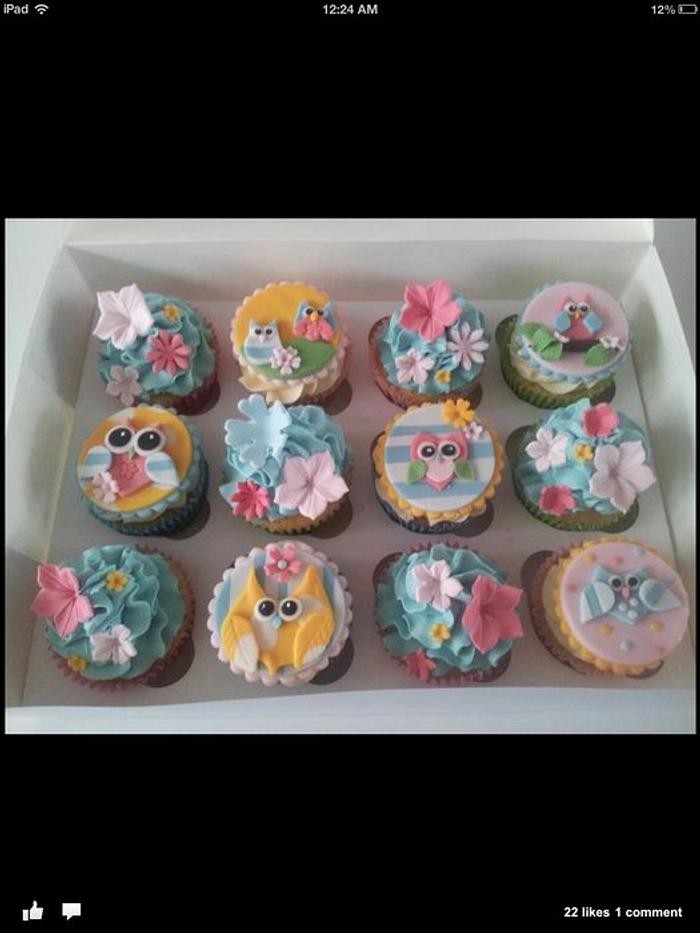 Owl cupcakes 