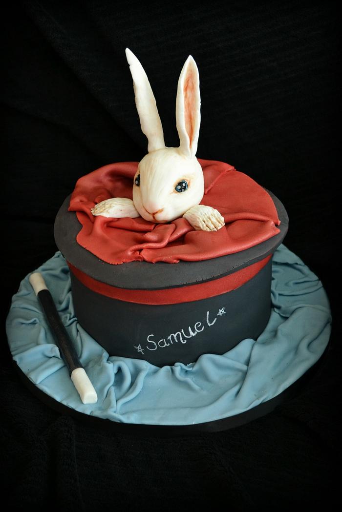Magicians hat cake complete with white bunny
