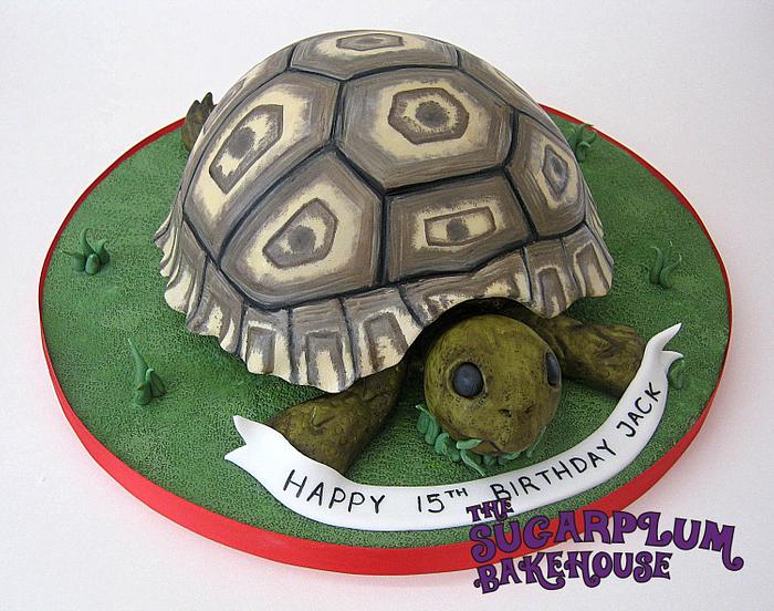 Leopard Tortoise Cake