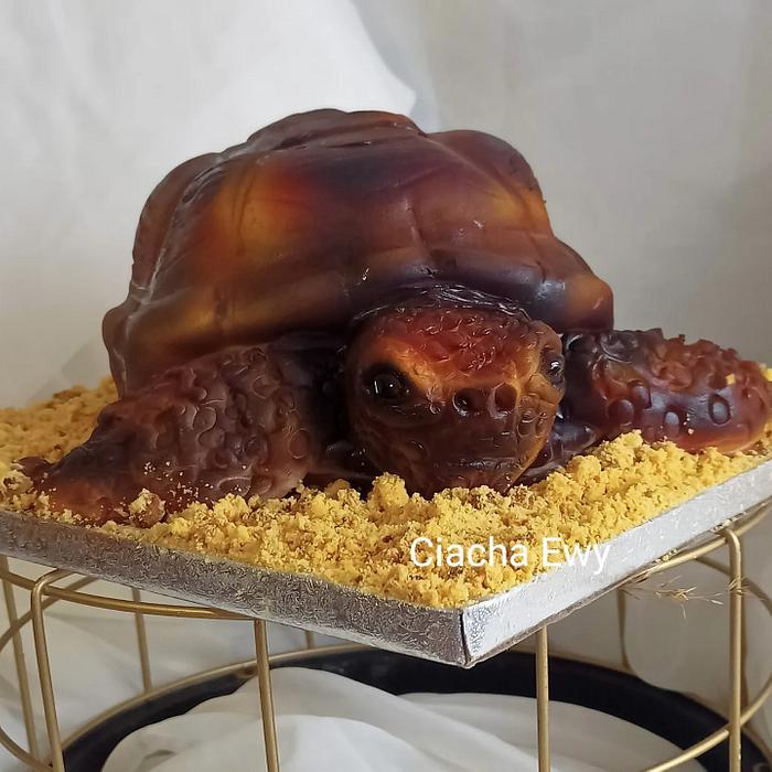 turtle cake 