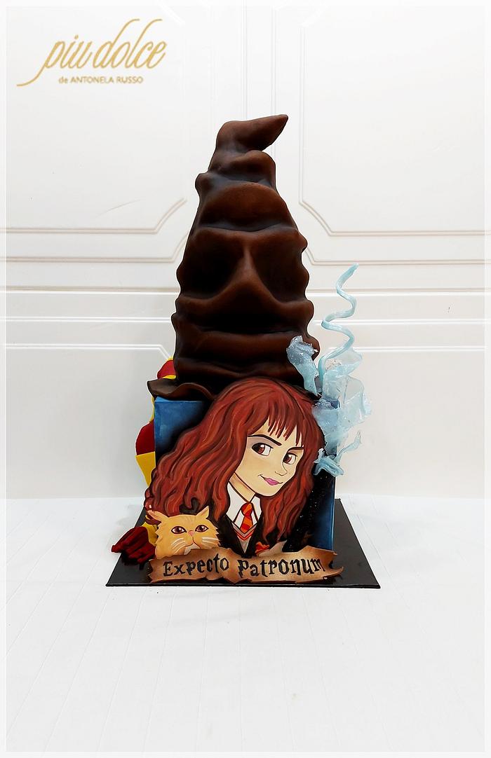 Harry Potter Hermione Cake