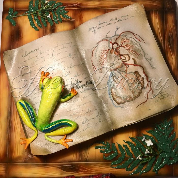 For the lady who loves..Red eyed tree frogs and teaches Biology!
